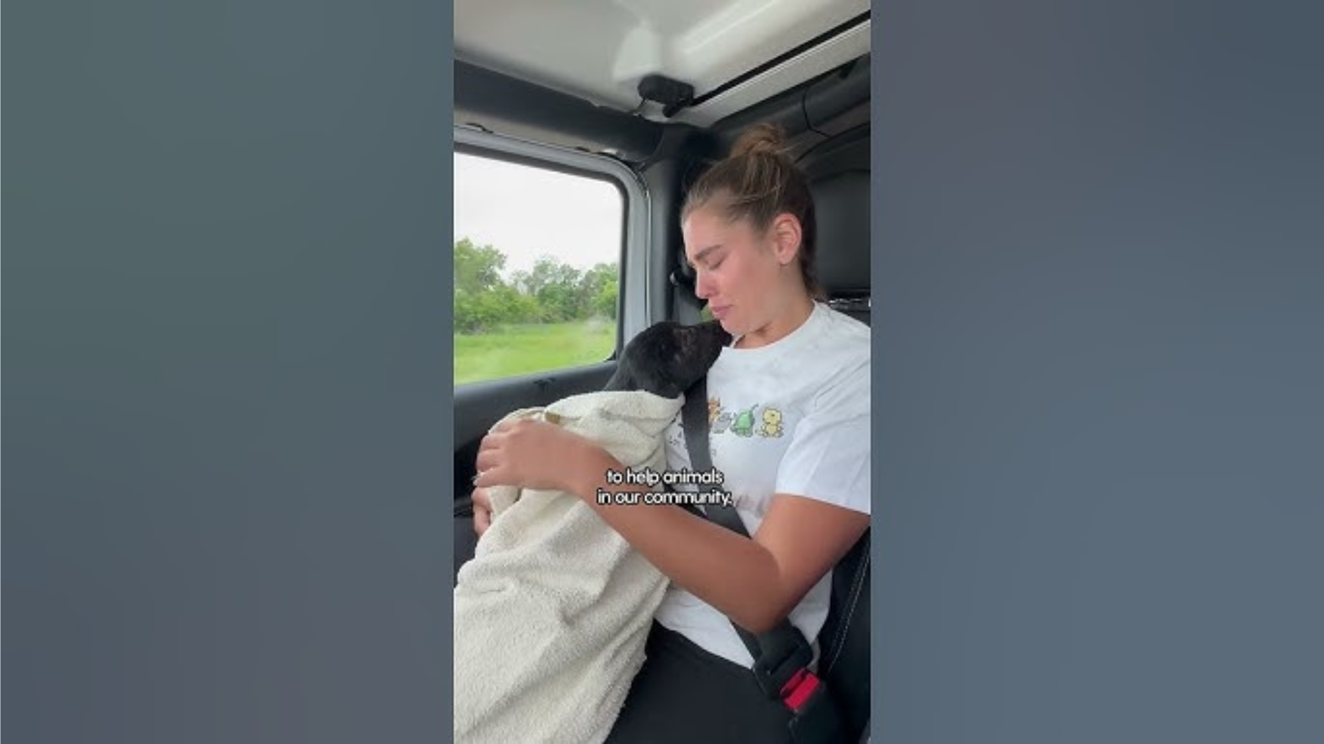 What Rescuing a Puppy Is Actually Like