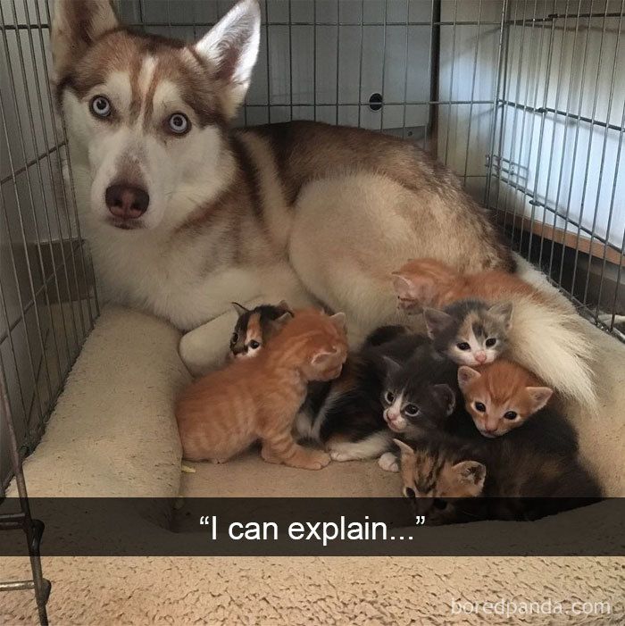 The Unexpected Family